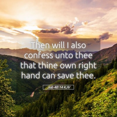 Picture 05 - Job 40:14 KJV - Then will I also confess unto thee that thine own - Bible Verse Picture