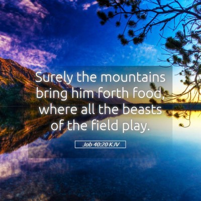 Picture 05 - Job 40:20 KJV - Surely the mountains bring him forth food, where - Bible Verse Picture