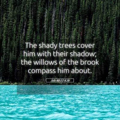 Picture 05 - Job 40:22 KJV - The shady trees cover him with their shadow; the - Bible Verse Picture