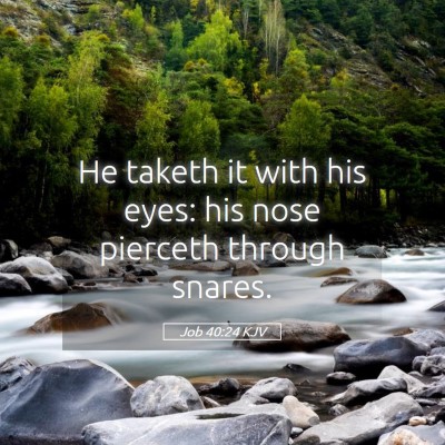 Picture 05 - Job 40:24 KJV - He taketh it with his eyes: his nose pierceth - Bible Verse Picture