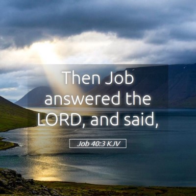 Picture 05 - Job 40:3 KJV - Then Job answered the LORD, and - Bible Verse Picture