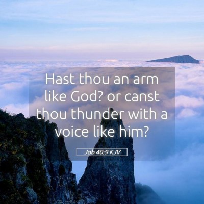 Picture 05 - Job 40:9 KJV - Hast thou an arm like God? or canst thou thunder - Bible Verse Picture