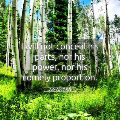 Picture 05 - Job 41:12 KJV - I will not conceal his parts, nor his power, nor - Bible Verse Picture