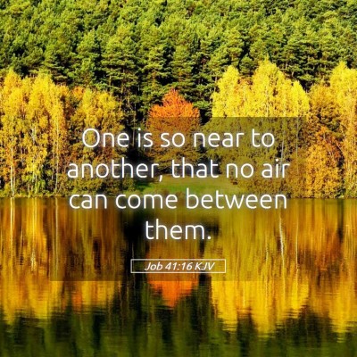 Picture 05 - Job 41:16 KJV - One is so near to another, that no air can come - Bible Verse Picture