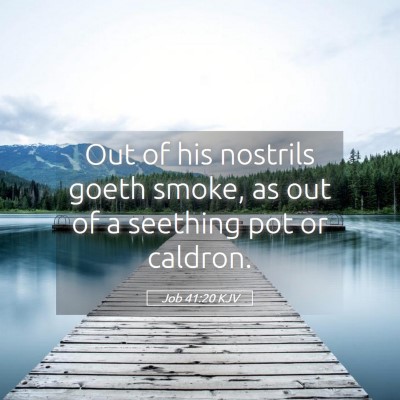 Picture 05 - Job 41:20 KJV - Out of his nostrils goeth smoke, as out of a - Bible Verse Picture