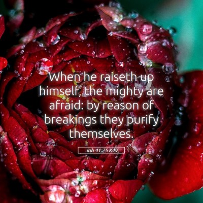 Picture 05 - Job 41:25 KJV - When he raiseth up himself, the mighty are - Bible Verse Picture