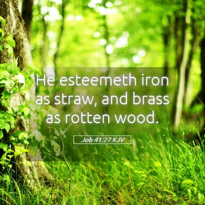 Picture 05 - Job 41:27 KJV - He esteemeth iron as straw, and brass as rotten - Bible Verse Picture