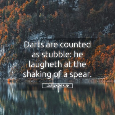 Picture 05 - Job 41:29 KJV - Darts are counted as stubble: he laugheth at the - Bible Verse Picture