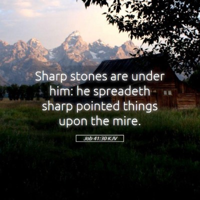 Picture 05 - Job 41:30 KJV - Sharp stones are under him: he spreadeth sharp - Bible Verse Picture