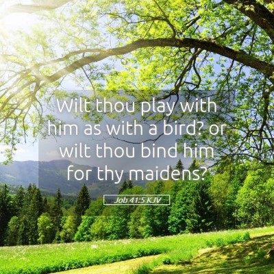 Picture 05 - Job 41:5 KJV - Wilt thou play with him as with a bird? or wilt - Bible Verse Picture