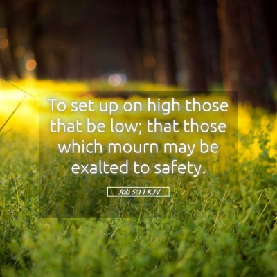 Picture 05 - Job 5:11 KJV - To set up on high those that be low; that those - Bible Verse Picture