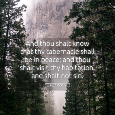 Picture 05 - Job 5:24 KJV - And thou shalt know that thy tabernacle shall be - Bible Verse Picture