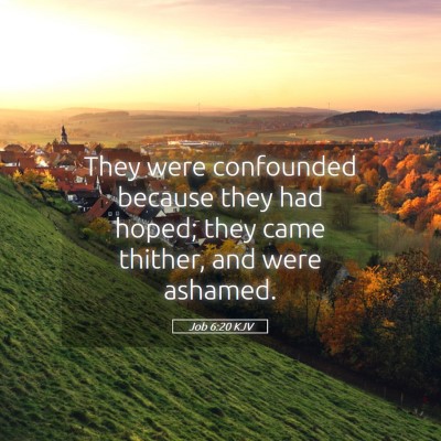 Picture 05 - Job 6:20 KJV - They were confounded because they had hoped; they - Bible Verse Picture
