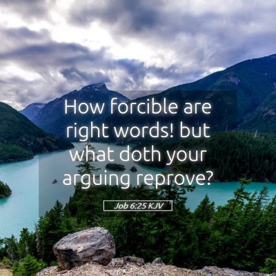 Picture 05 - Job 6:25 KJV - How forcible are right words! but what doth your - Bible Verse Picture