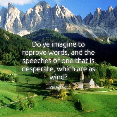 Picture 05 - Job 6:26 KJV - Do ye imagine to reprove words, and the speeches - Bible Verse Picture