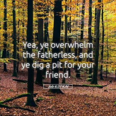 Picture 05 - Job 6:27 KJV - Yea, ye overwhelm the fatherless, and ye dig a - Bible Verse Picture
