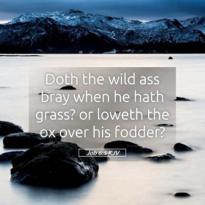 Picture 05 - Job 6:5 KJV - Doth the wild ass bray when he hath grass? or - Bible Verse Picture