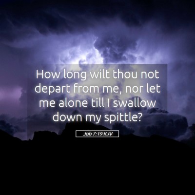 Picture 05 - Job 7:19 KJV - How long wilt thou not depart from me, nor let me - Bible Verse Picture