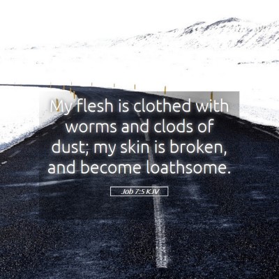 Picture 05 - Job 7:5 KJV - My flesh is clothed with worms and clods of dust; - Bible Verse Picture
