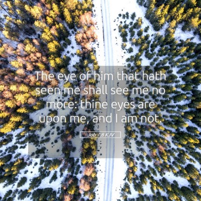 Picture 05 - Job 7:8 KJV - The eye of him that hath seen me shall see me no - Bible Verse Picture