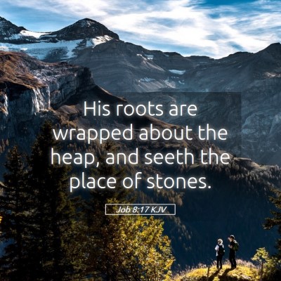 Picture 05 - Job 8:17 KJV - His roots are wrapped about the heap, and seeth - Bible Verse Picture