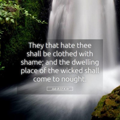 Picture 05 - Job 8:22 KJV - They that hate thee shall be clothed with shame; - Bible Verse Picture