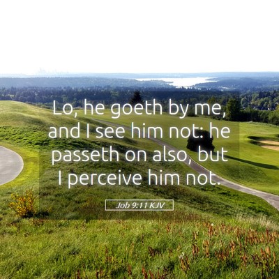 Picture 05 - Job 9:11 KJV - Lo, he goeth by me, and I see him not: he passeth - Bible Verse Picture
