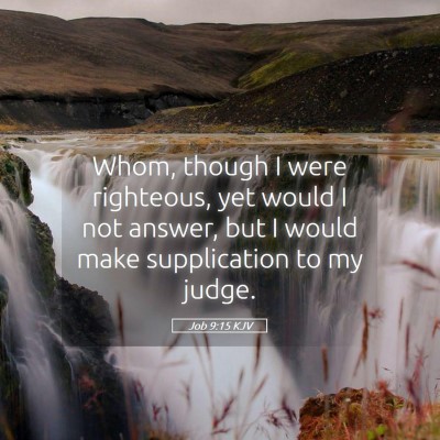 Picture 05 - Job 9:15 KJV - Whom, though I were righteous, yet would I not - Bible Verse Picture