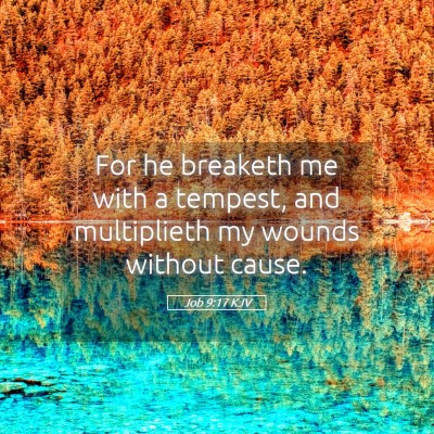 Picture 05 - Job 9:17 KJV - For he breaketh me with a tempest, and - Bible Verse Picture