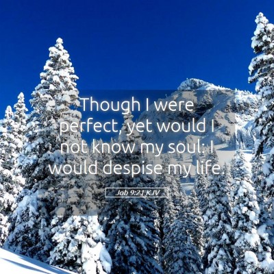 Picture 05 - Job 9:21 KJV - Though I were perfect, yet would I not know my - Bible Verse Picture