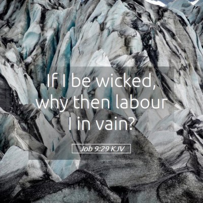 Picture 05 - Job 9:29 KJV - If I be wicked, why then labour I in - Bible Verse Picture