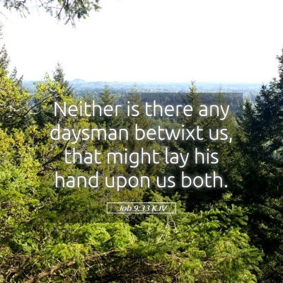 Picture 05 - Job 9:33 KJV - Neither is there any daysman betwixt us, that - Bible Verse Picture