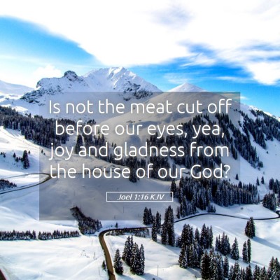 Picture 05 - Joel 1:16 KJV - Is not the meat cut off before our eyes, yea, joy - Bible Verse Picture