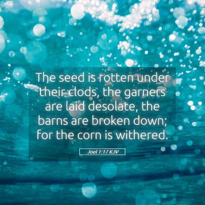 Picture 05 - Joel 1:17 KJV - The seed is rotten under their clods, the garners - Bible Verse Picture