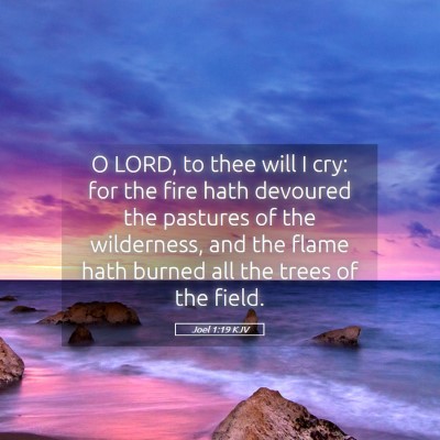 Picture 05 - Joel 1:19 KJV - O LORD, to thee will I cry: for the fire hath - Bible Verse Picture