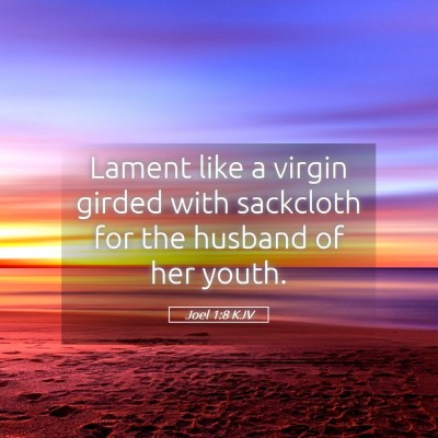 Picture 05 - Joel 1:8 KJV - Lament like a virgin girded with sackcloth for - Bible Verse Picture