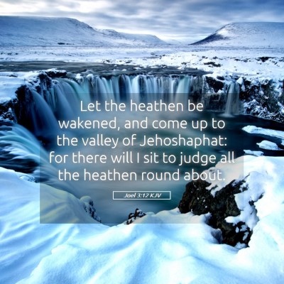 Picture 05 - Joel 3:12 KJV - Let the heathen be wakened, and come up to the - Bible Verse Picture