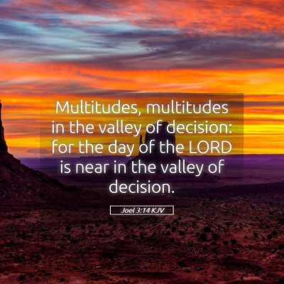 Picture 05 - Joel 3:14 KJV - Multitudes, multitudes in the valley of decision: - Bible Verse Picture