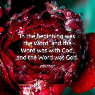 Picture 05 - John 1:1 KJV - In the beginning was the Word, and the Word was - Bible Verse Picture
