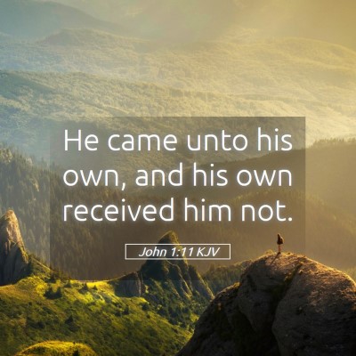 Picture 05 - John 1:11 KJV - He came unto his own, and his own received him - Bible Verse Picture