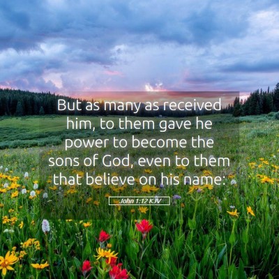 Picture 05 - John 1:12 KJV - But as many as received him, to them gave he - Bible Verse Picture