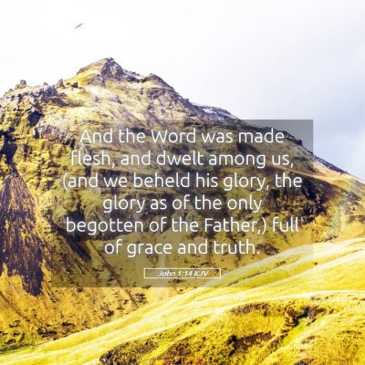 Picture 05 - John 1:14 KJV - And the Word was made flesh, and dwelt among us, - Bible Verse Picture