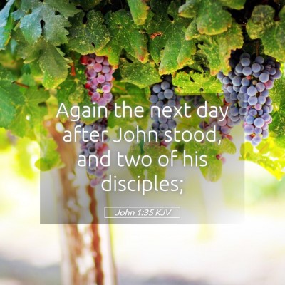 Picture 05 - John 1:35 KJV - Again the next day after John stood, and two of - Bible Verse Picture
