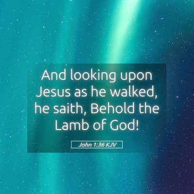 Picture 05 - John 1:36 KJV - And looking upon Jesus as he walked, he saith, - Bible Verse Picture