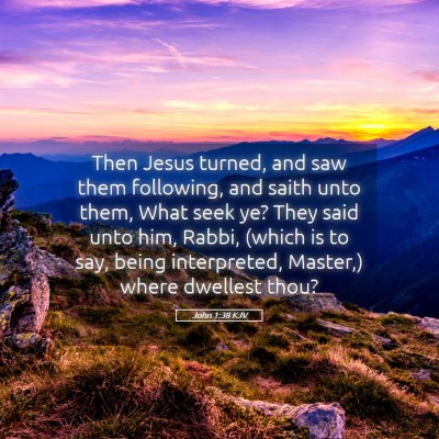 Picture 05 - John 1:38 KJV - Then Jesus turned, and saw them following, and - Bible Verse Picture