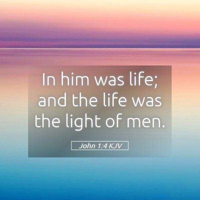 Picture 05 - John 1:4 KJV - In him was life; and the life was the light of - Bible Verse Picture