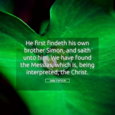 Picture 05 - John 1:41 KJV - He first findeth his own brother Simon, and saith - Bible Verse Picture