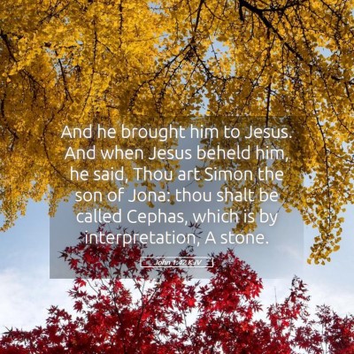 Picture 05 - John 1:42 KJV - And he brought him to Jesus. And when Jesus - Bible Verse Picture