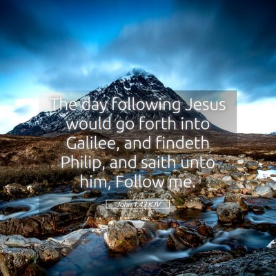 Picture 05 - John 1:43 KJV - The day following Jesus would go forth into - Bible Verse Picture