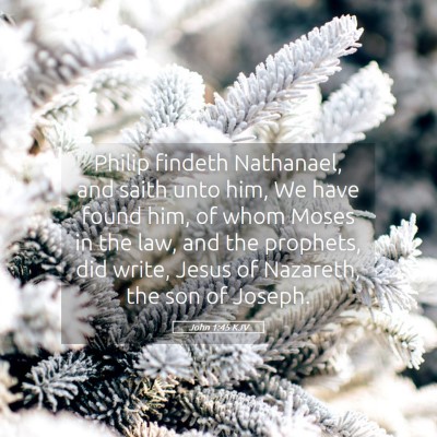 Picture 05 - John 1:45 KJV - Philip findeth Nathanael, and saith unto him, We - Bible Verse Picture